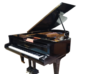 Pianola Vereniging